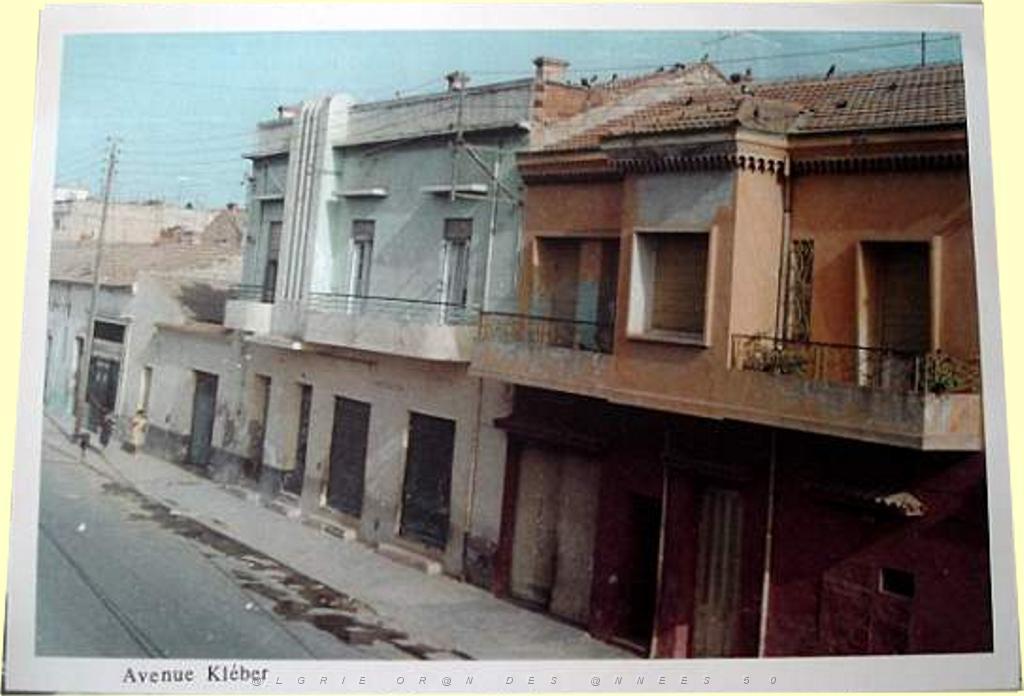 SIDI BEL ABBES AVENUE KLEBER 2.JPG